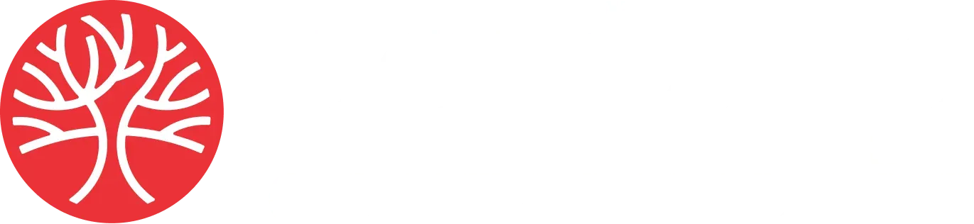 Contasp Contabilidade